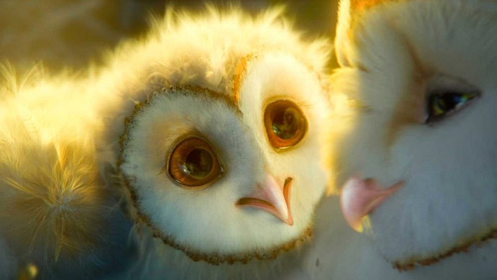 release date for Legend of the Guardians: The Owls of Ga'Hoole