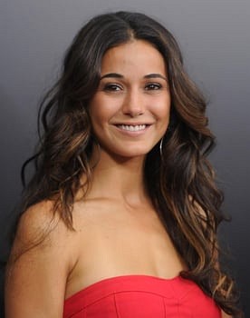 Emmanuelle Chriqui in You Don't Mess with the Zohan