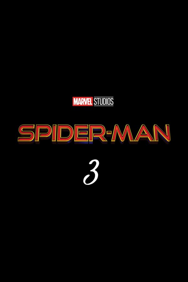Untitled Spider-Man 3 movie poster
