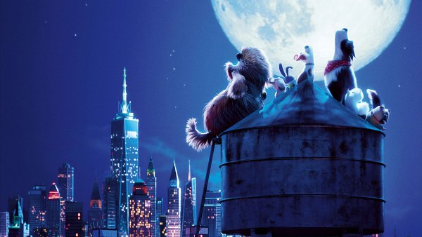 release date for The Secret Life of Pets 2
