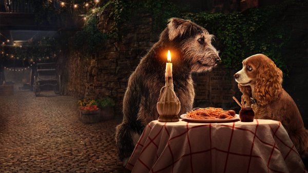 release date for Lady and the Tramp