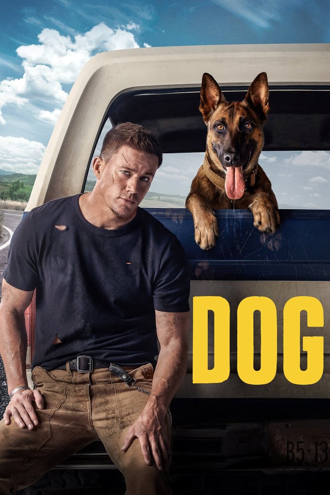 Dog movie poster