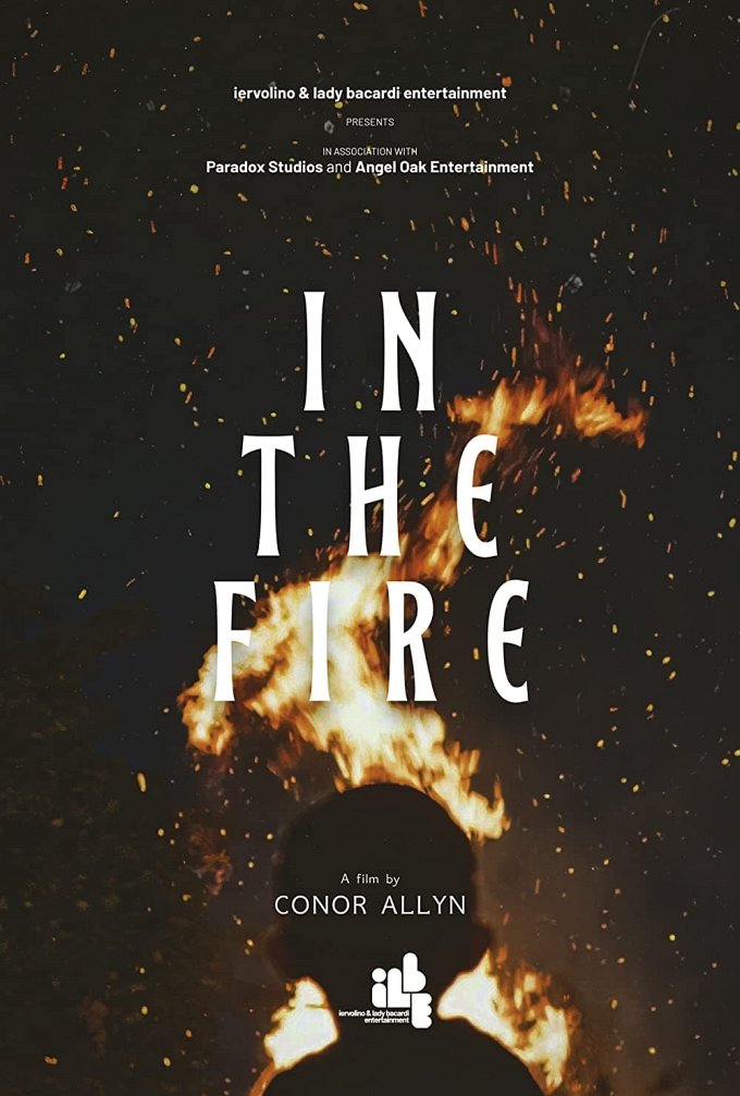 In the Fire movie poster
