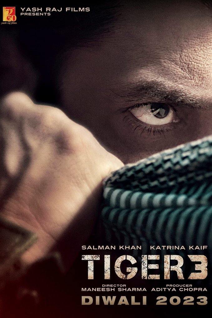Tiger 3 movie poster