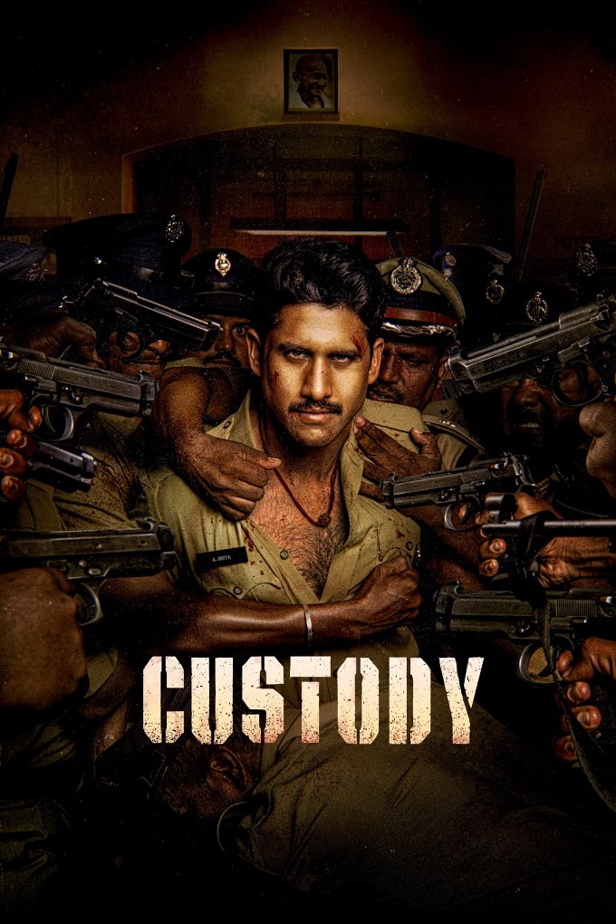Custody movie poster