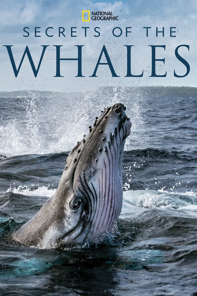 Season 2 of Secrets of the Whales poster