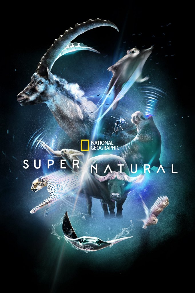 Season 3 of Super/Natural poster