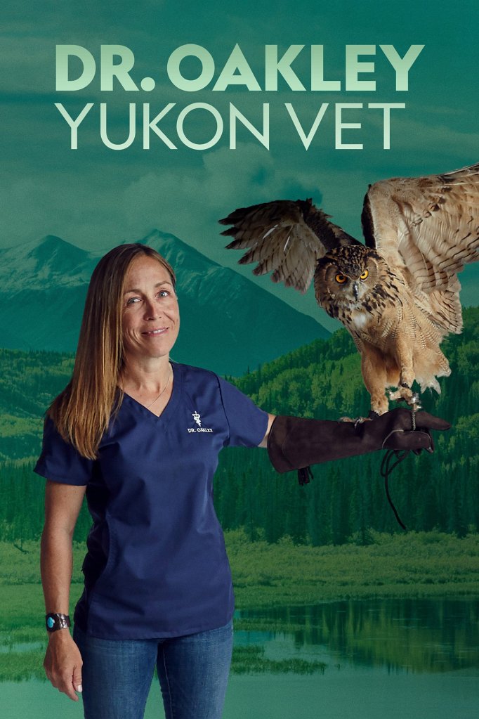 Season 13 of Dr. Oakley, Yukon Vet poster
