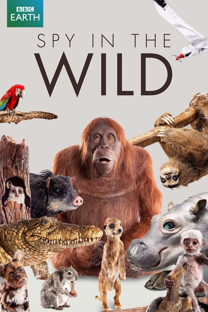 Season 3 of Spy in the Wild poster